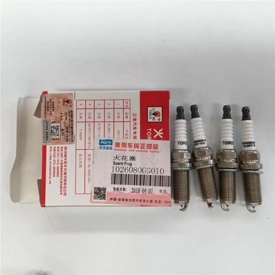 JAC J3 J5 J6 S3 VVT Motor Spark Plug 10 Set Ricambi auto con numero OE 1026080GG010