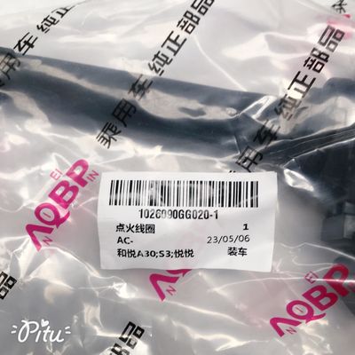 JAC He Yue-A30 Refine-S3 Yue Yue bobina di accensione OE NO. 1026090GG020-1 per veicoli