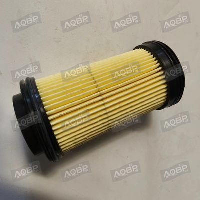 JAC Sunray 12- Assemblaggio di filtri dell'urea 1044437FE010 Parti per autoveicoli